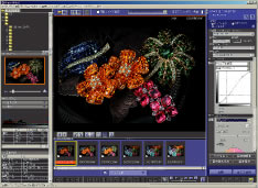RAW FILE CONVERTER EXのPC�e��イメージ