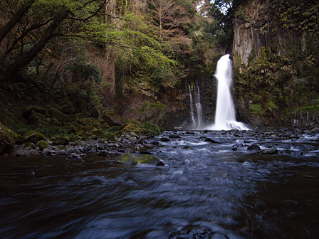 Creative control with Aperture Priority and Manual Exposure.