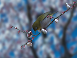 Av:��り�u��AE