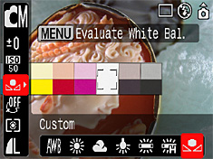 Using the Custom White Balance