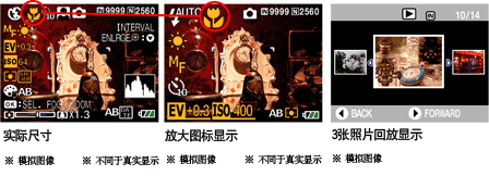 Caplio R2 displays