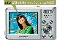 2.5��・��23�U�e��の�Aやかな�G��モニター