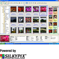 <a href=https://www.fuji.com.tw/PENTAX.asp>PENTAX</a> PHOTO Browser3