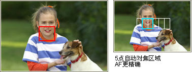 5�IAF