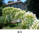 4:3