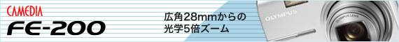 FE-200