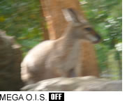 MEGA O.I.S. OFF