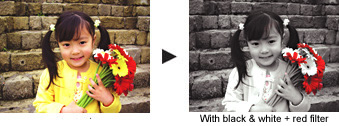 Easy Image Editing for Artistic Visual Expressions