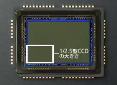 ニコンDXフォーマットCCDと�@�몺なコンパクトデジタルカメラの
CCD�]1/2.5���G��効画������当�^の�jきさ����]��対��^