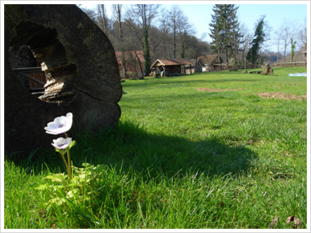 f=24mm, 1/190��, F5.7, ISO100, EV-0.7, ��ؤo�Ӥ��F���ŵ�