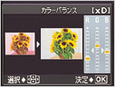 �̷sの�e���ո`����を�f��