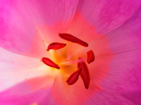 1/153sec,F4.5,ISO200,WB:��U,���ŵ�