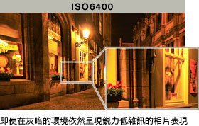 ISO6400 Sharp, detailed image even in dark situations
