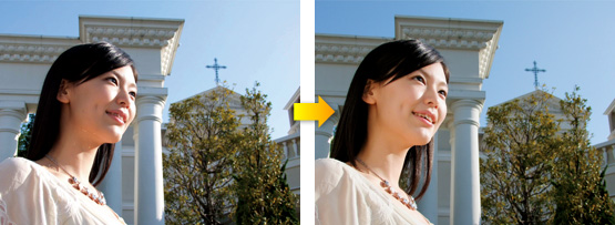 �H��の��や�C��の��とびをおさえ�B�Tかな���ժ��{を実�{
