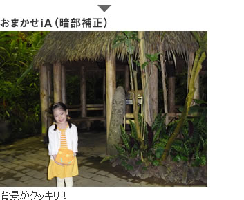 おまかせiA�]�t���ɥ��^�G�I��がクッキリ�I