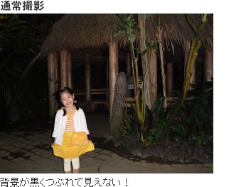 ³q±`¼¼¼v¡GI´ºが黒くつぶれて¨£えない¡I