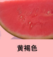 ���Ŧ�