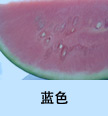 �Ŧ�