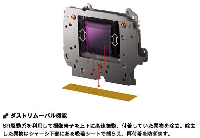 ダストリムーバル���c�uDR�v