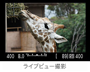 �uライブモード�v
