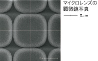 画��のすみずみまで��画��を��むために