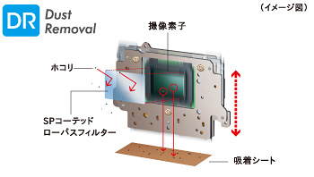 独��のホコリ���h���cDR�]ダストリムーバル�^